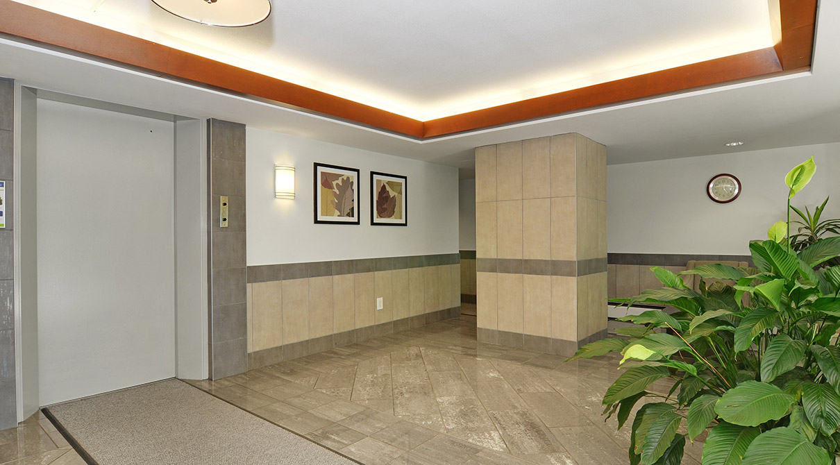 Bellevue Towers Rental Apartments Hollyburn Properties