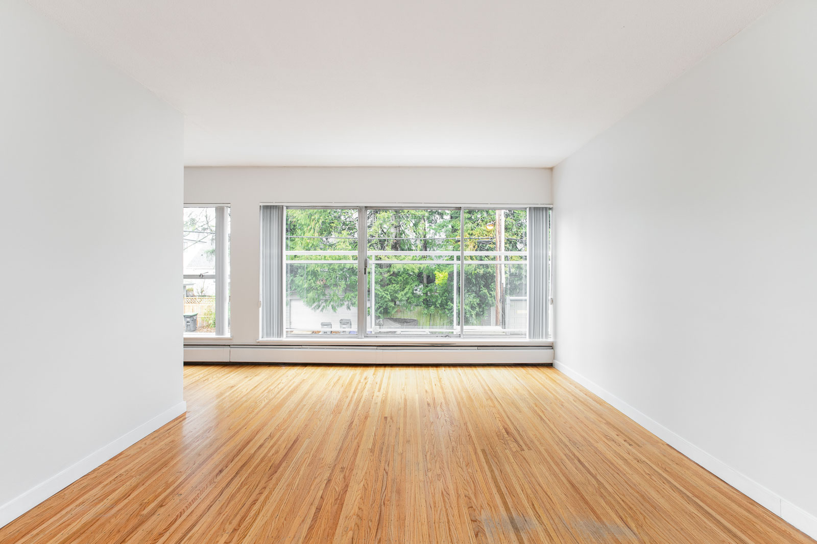 Bellevue Towers Rental Apartments Hollyburn Properties