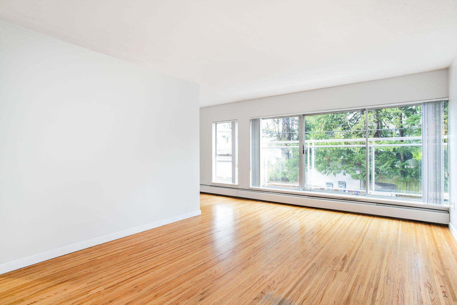 Bellevue Towers Rental Apartments Hollyburn Properties