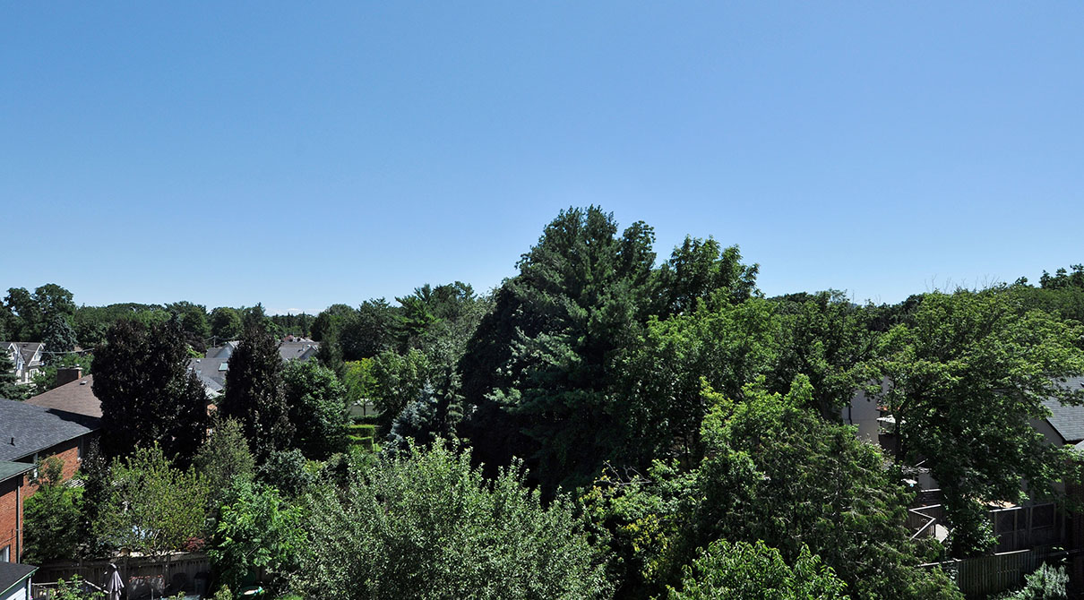 Davisville Tower Rental Apartments Hollyburn Properties