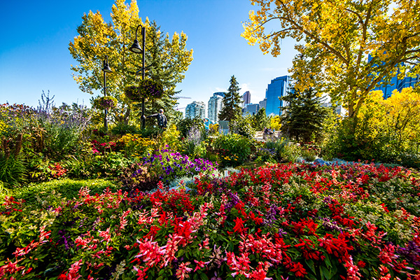 Calgary Interesting Sights Princes Island Park