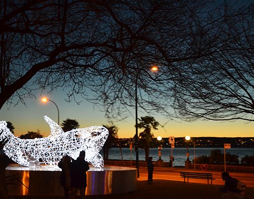 Lumiere Fest 2015 1 Lumiere Fest 2015 1